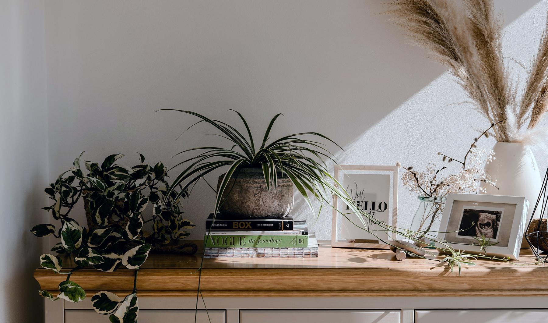 Midtown Apartments is a petfriendly apartment community in Depew, NY